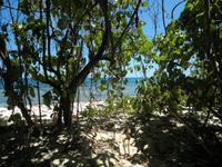 Ausflug Drei Inseln: Cousin, Curieuse und St. Pierre