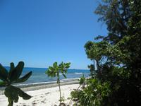 Ausflug Drei Inseln: Cousin, Curieuse und St. Pierre