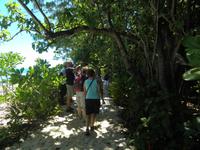 Ausflug Drei Inseln: Cousin, Curieuse und St. Pierre