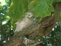 Ausflug Drei Inseln: Cousin, Curieuse und St. Pierre