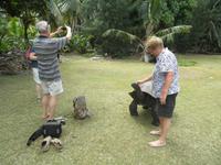 Ausflug Drei Inseln: Cousin, Curieuse und St. Pierre