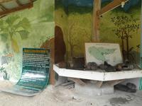 Ausflug Drei Inseln: Cousin, Curieuse und St. Pierre