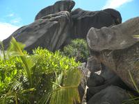 La Digue - Anse Source d'Argent