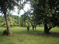 Ausflug auf Sister und Coco - Islands