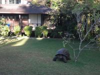 New Emerald Cove Hotel auf Praslin