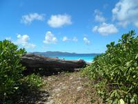 Aride Island - Ausflug zum Vogelschutzreservat