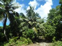Aride Island - Ausflug zum Vogelschutzreservat
