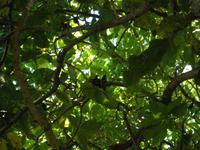 Aride Island - Ausflug zum Vogelschutzreservat