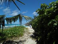 Aride Island - Ausflug zum Vogelschutzreservat
