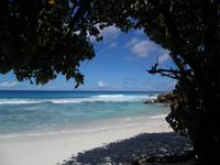 Aride Island - Ausflug zum Vogelschutzreservat