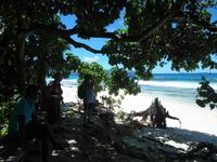 Aride Island - Ausflug zum Vogelschutzreservat