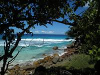 Aride Island - Ausflug zum Vogelschutzreservat