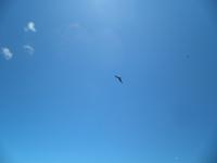 Aride Island - Ausflug zum Vogelschutzreservat