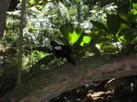 Aride Island - Ausflug zum Vogelschutzreservat