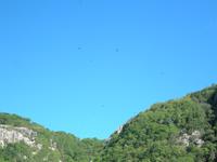 Aride Island - Ausflug zum Vogelschutzreservat