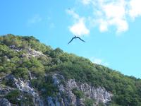 Aride Island - Ausflug zum Vogelschutzreservat