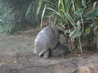 New Emerald Cove Hotel auf Praslin