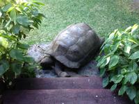 New Emerald Cove Hotel auf Praslin