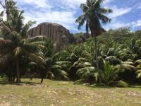 Traumhafte Kulisse auf Sister Island