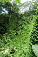 Fotostopp zur Mission Lodge