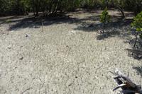 Wanderung Insel Curieuse