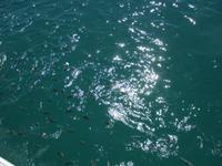 Katamaran Marine Park Mahé