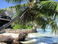 New Emerald Cove Hotel Praslyn