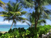 New Emerald Cove Hotel Praslyn