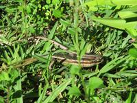 New Emerald Cove Hotel Praslyn