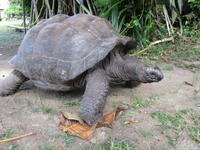 New Emerald Cove Hotel Praslyn