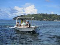 Cousin, Courieuse und St. Pierre