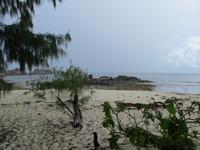 Cousin, Courieuse und St. Pierre