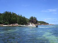 Cousin, Courieuse und St. Pierre