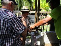 Cousin, Courieuse und St. Pierre