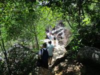 Cousin, Courieuse und St. Pierre