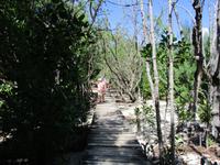 Cousin, Courieuse und St. Pierre