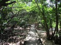 Cousin, Courieuse und St. Pierre