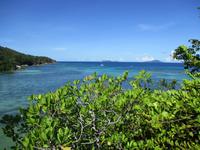 Cousin, Courieuse und St. Pierre