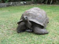 New Emerald Cove Hotel Praslyn