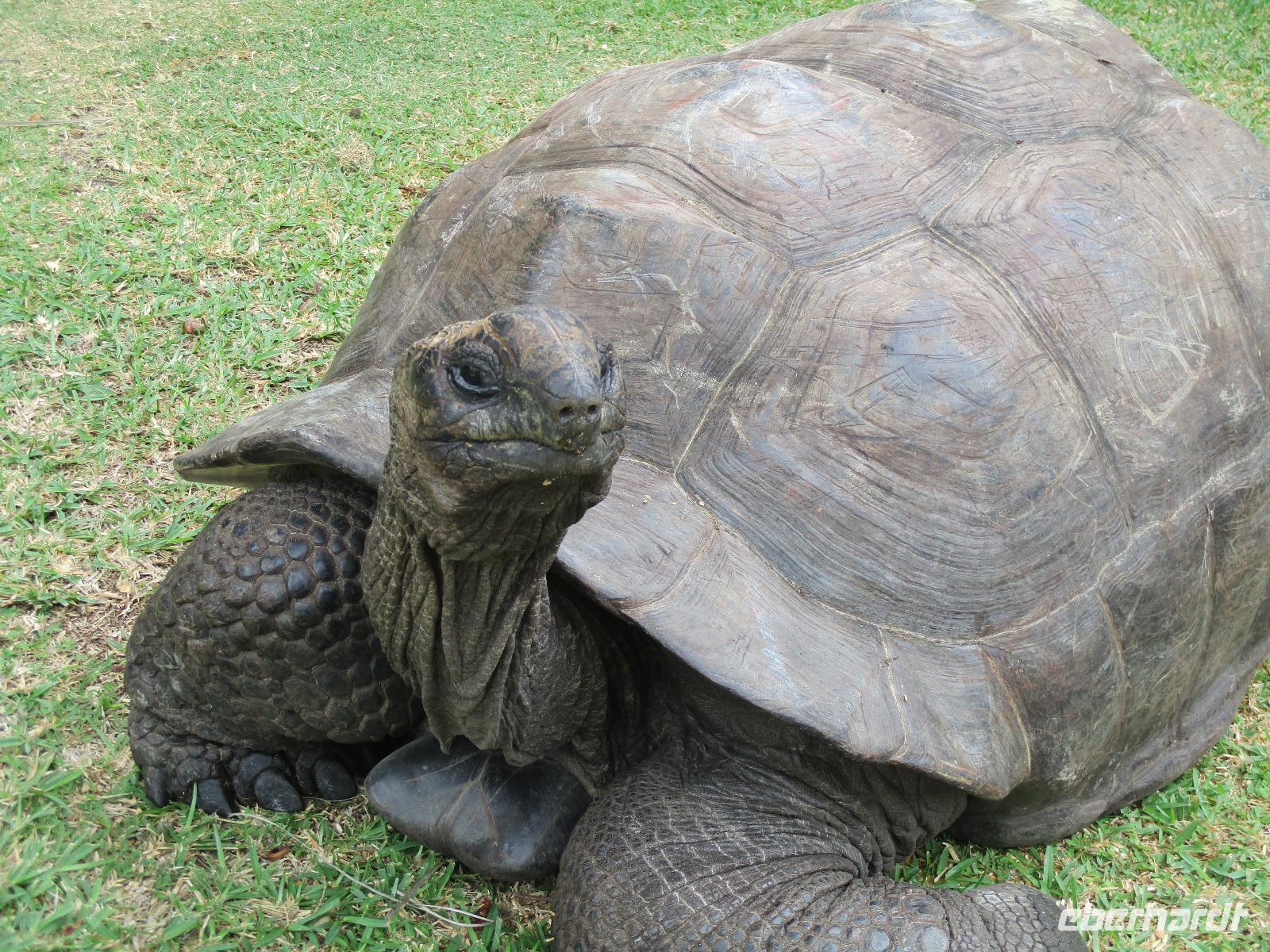 New Emerald Cove Hotel Praslyn