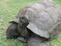 New Emerald Cove Hotel Praslyn