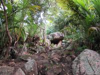 New Emerald Cove Hotel Praslyn