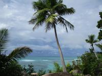 New Emerald Cove Hotel Praslyn