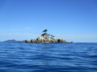 Sister und Coco Ausflug