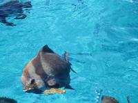 Sister und Coco Ausflug