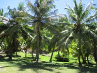 Sister und Coco Ausflug