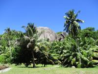 Sister und Coco Ausflug