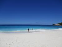 Sister und Coco Ausflug