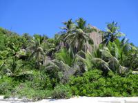 Sister und Coco Ausflug