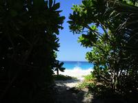 Sister und Coco Ausflug